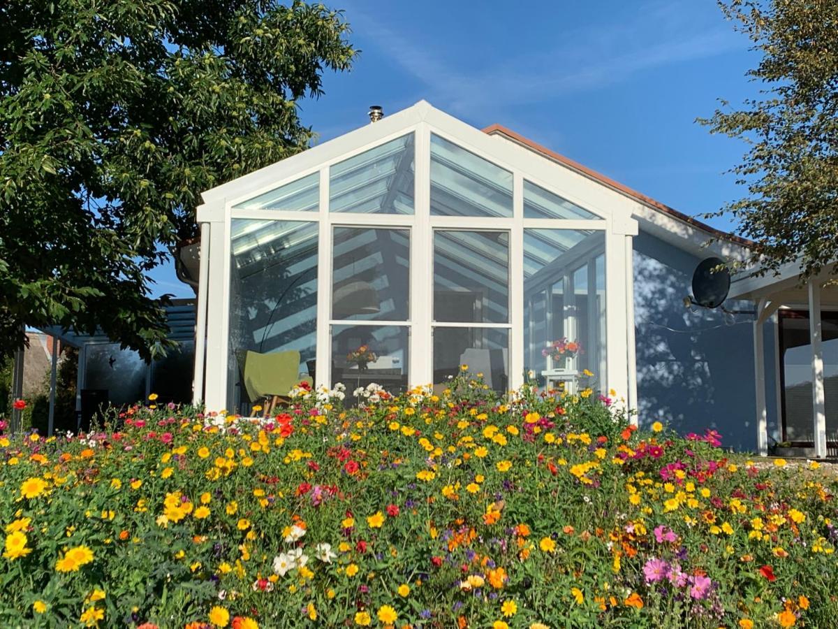 Ferienhaus bei den Kreidefelsen - Ihr Zuhause auf Rügen Lohme Exterior foto